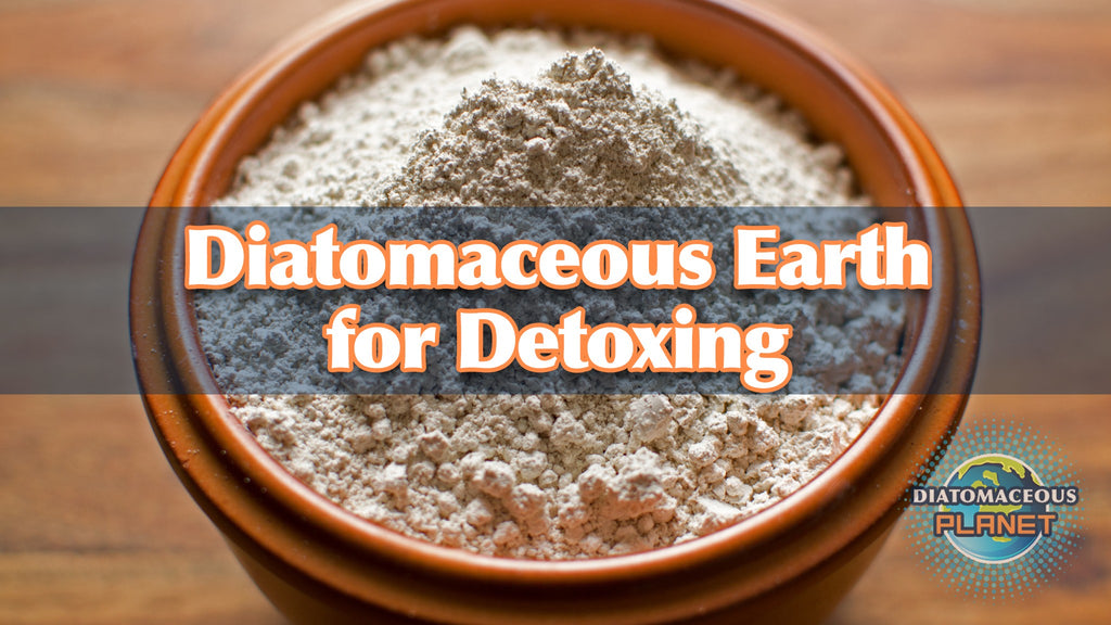 Diatomaceous Earth for Detox