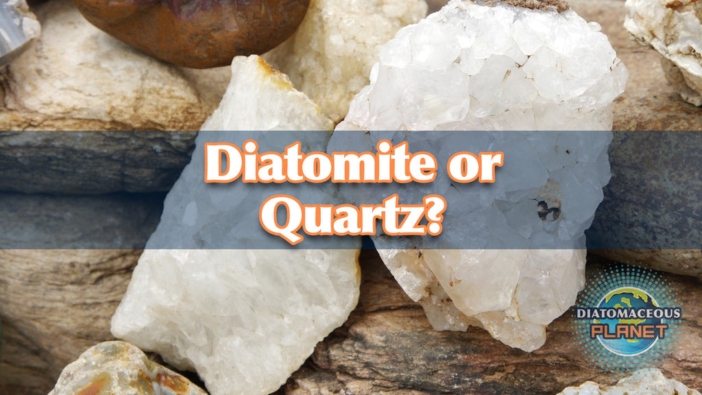 Diatomaceous Earth or Quarts; Diatomite compared.