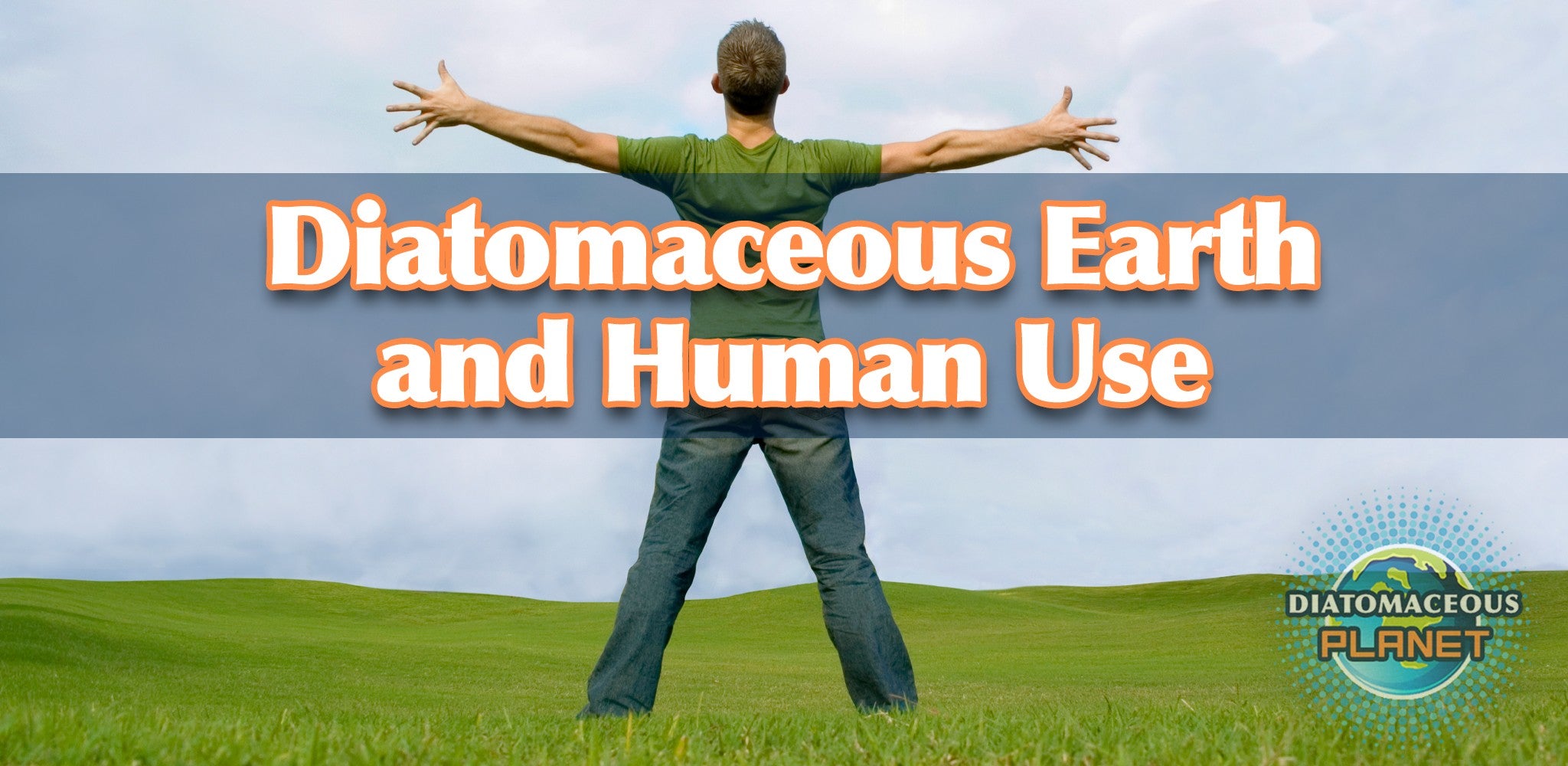 Food Grade Diatomaceous Earth for Human Uses.