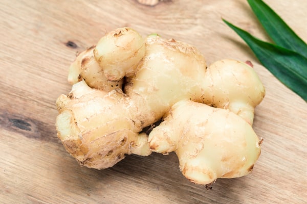 Discover the potent Ginger Oil Benefits for Skin, Hair, and Aromatherapy in this informative post by MDBiowellness- Plant Medicine, Developed by Doctors.