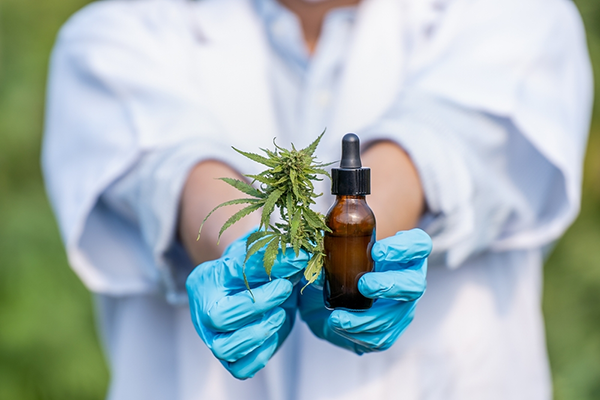 Image included in the 'Uncovering the CBN Effects: Benefits, Side Effects & More' post by MDBiowellness - Plant Medicine, developed by doctors. Depicts a person with a legal document and CBN tincture in the background, illustrating CBN effects