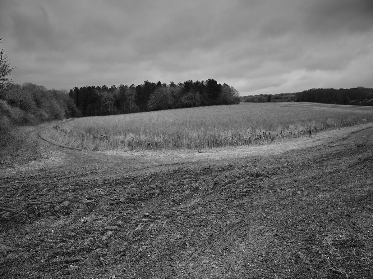 Oakengrove Copse, Nuffield, South Oxfordshire. ©copyright Matt Writtle 2023