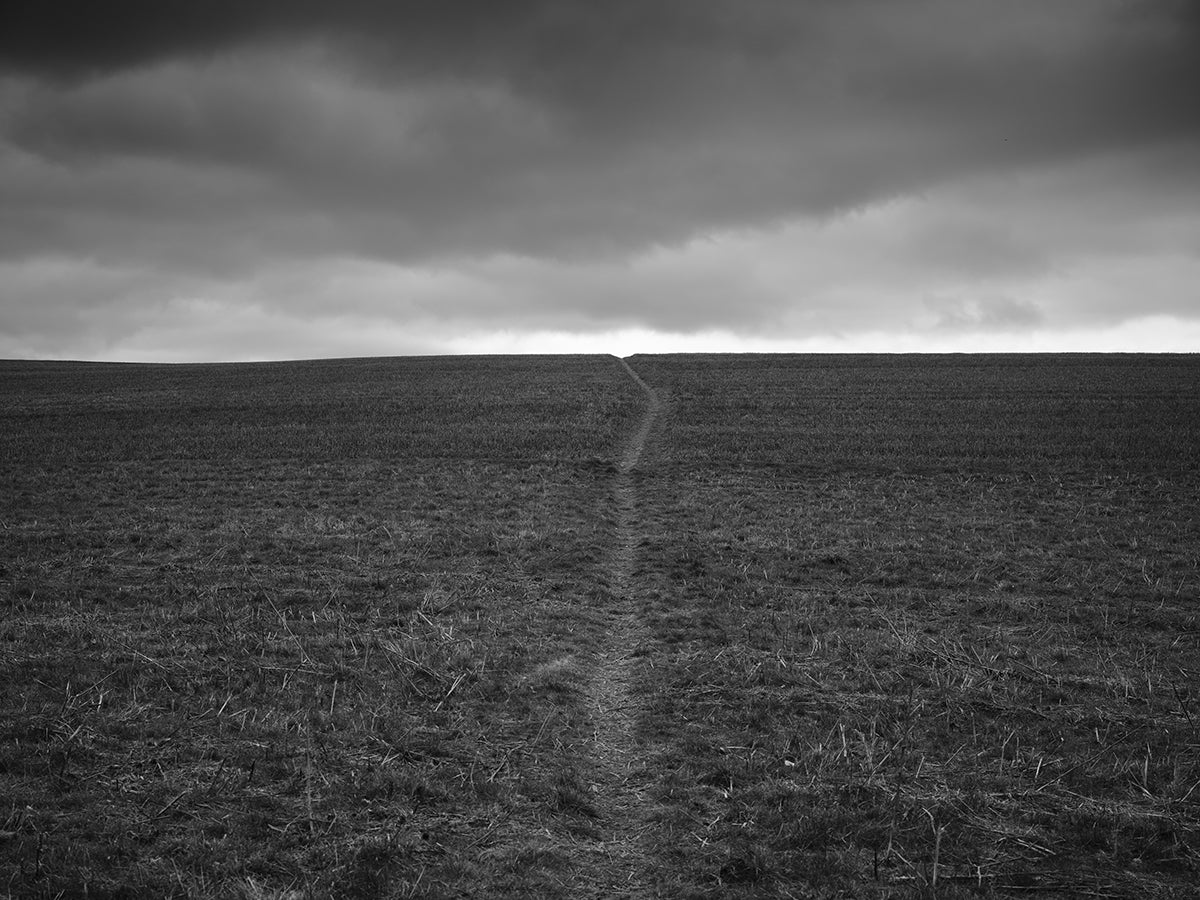 The Chiltern Way towards Ewelme, South Oxfordshire. ©copyright Matt Writtle 2023