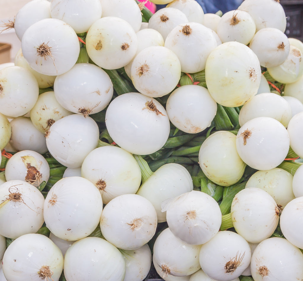 TREE, KAPOK , JAVA COTTON (Ceiba) – UJAMAA SEEDS