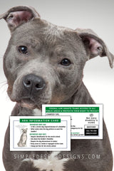 pitbull service dog cards