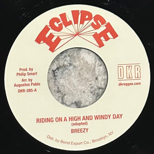 Breezy - Riding On a High and Windy Day b/w Windy Dub - BUMRUSH Vinyl Shop