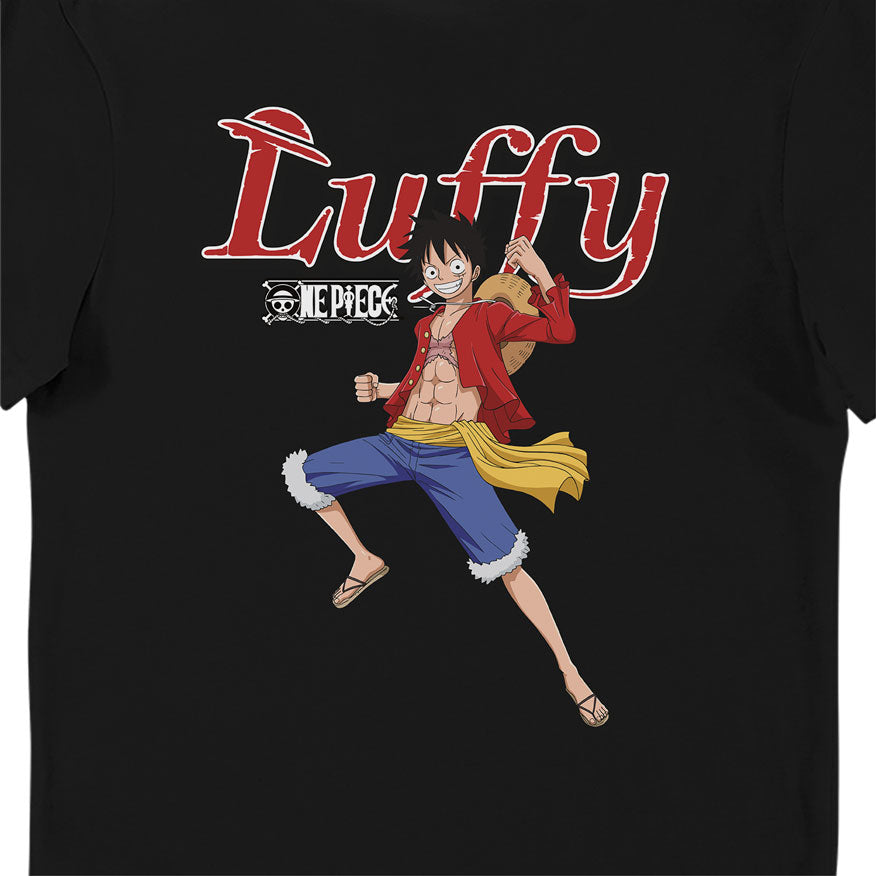 One Piece Group Adults T-Shirt