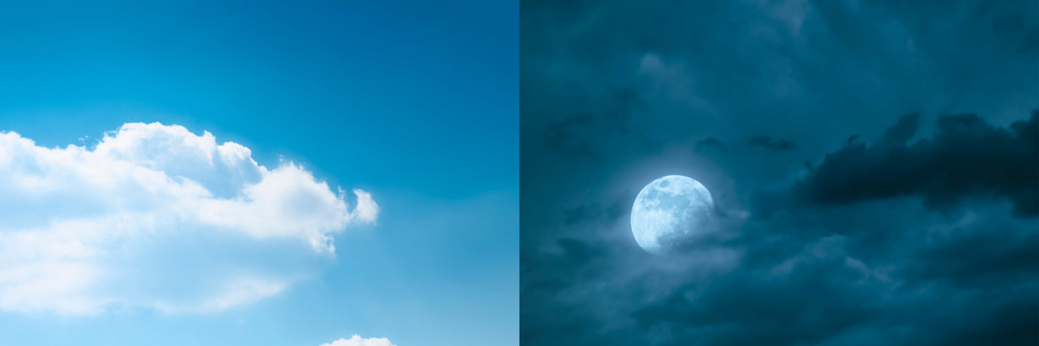 Les cycles circadiens sont des rythmes biologiques d’une durée d’environ 24 heures, régulés par des signaux externes comme la lumière du jour et l’obscurité.