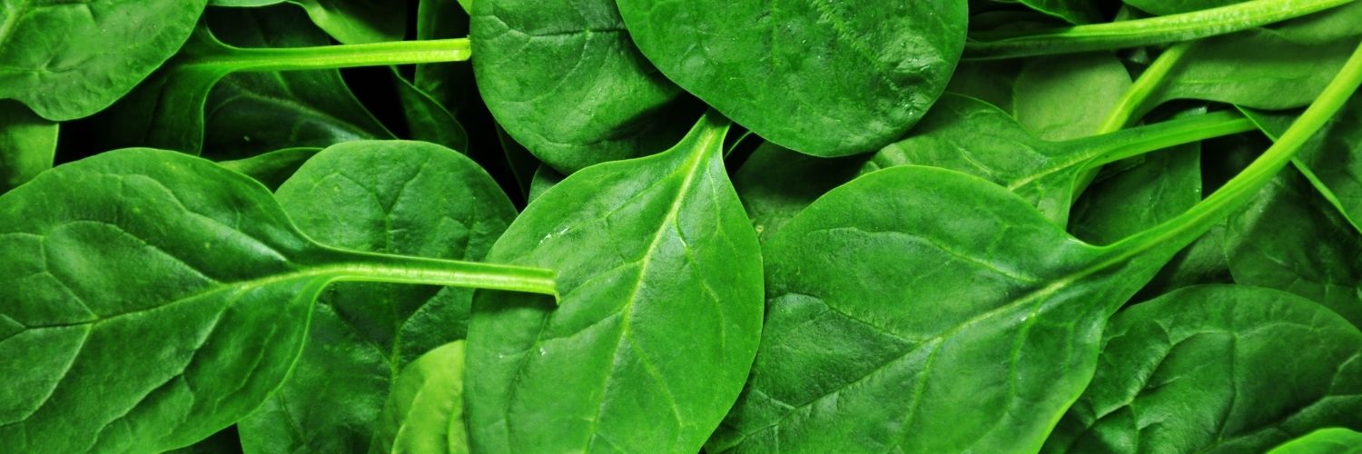 légumes à feuilles vertes sont une bonne option pour perdre du ventre