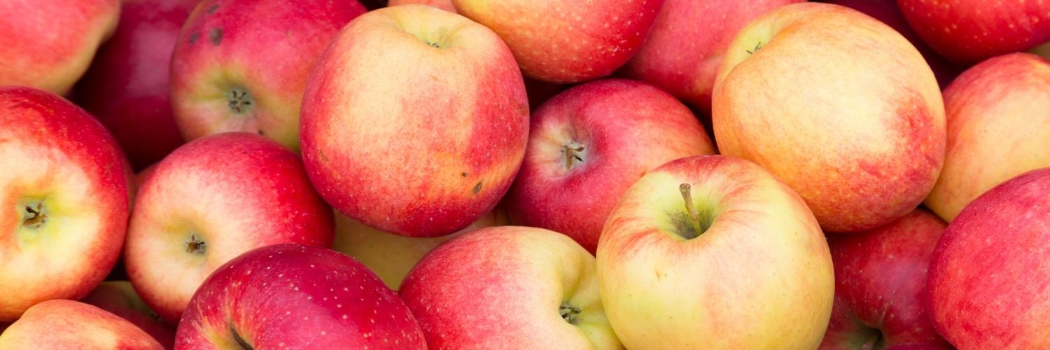 Les pommes ne sont pas à négliger parmi les aliments essentiels pour perdre du ventre
