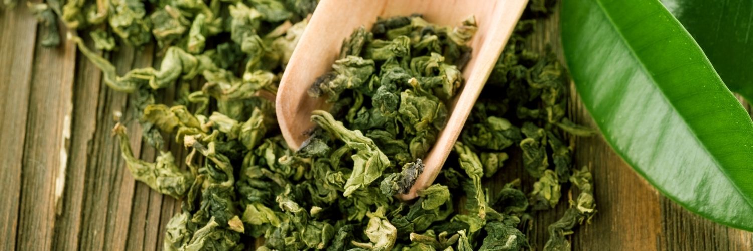 Le thé vert un antioxydant puissant et un aliment essentiel pour perdre du ventre