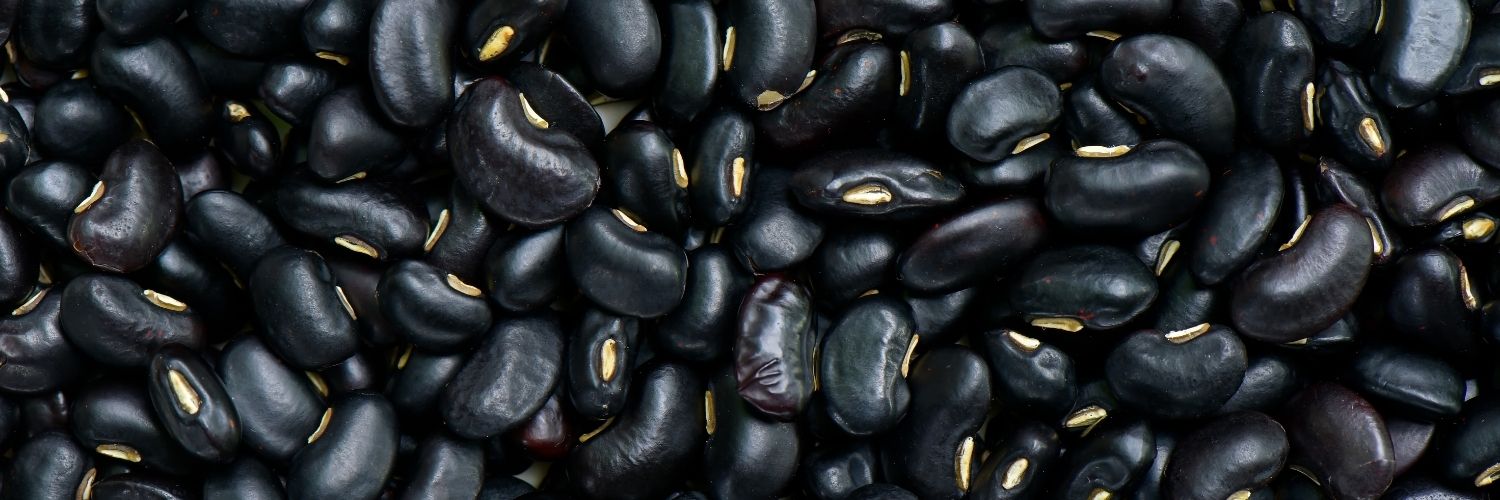 les haricots noirs font partie des 10 aliments essentiels pour perdre du ventre