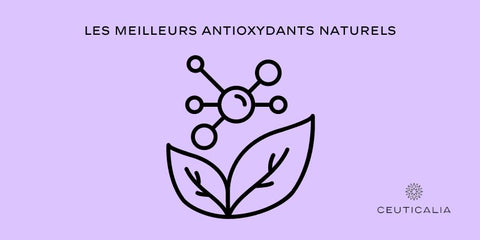 Les meilleurs antioxydants naturels