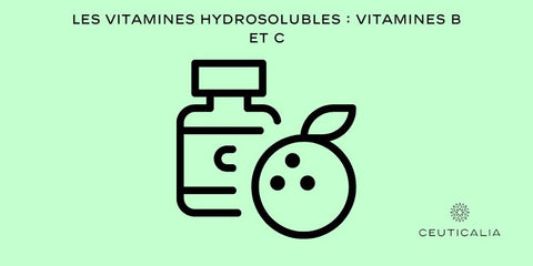 Les Vitamines Hydrosolubles : Vitamines B et C