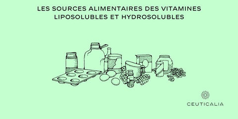 Les Sources Alimentaires des Vitamines Liposolubles et Hydrosolubles