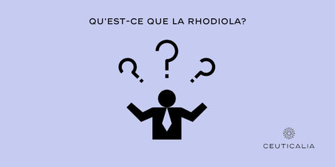 Qu'est-ce que la Rhodiola?