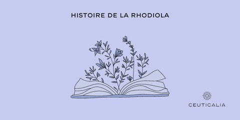 Histoire de la Rhodiola