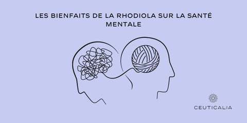 Les bienfaits de la Rhodiola sur la santé mentale