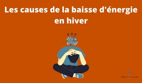 Les causes de la baisse d'énergie en hiver