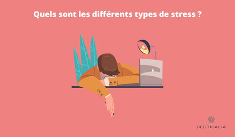 Quels sont les différents types de stress ?