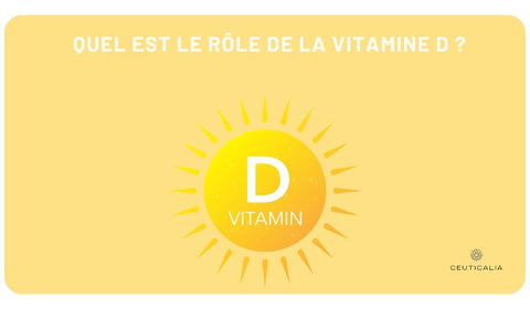 Quel est le rôle de la vitamine D ?