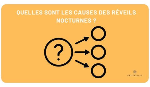 Quelles sont les causes des réveils nocturnes ?