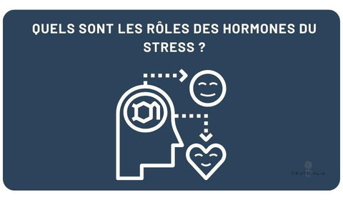 Quels sont les rôles des hormones du stress ?