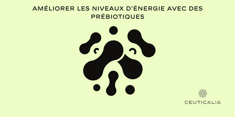 Améliorer les niveaux d'énergie avec des prébiotiques