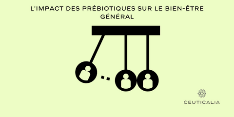 L'impact des prébiotiques sur le bien-être général