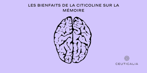 Les bienfaits de la Citicoline sur la mémoire