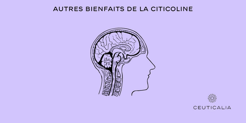 Autres bienfaits de la Citicoline