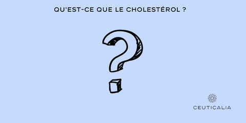 Qu'est-ce que le cholestérol ?