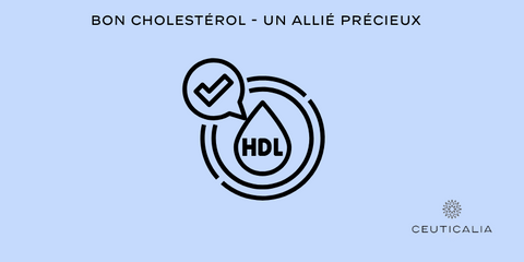 HDL 