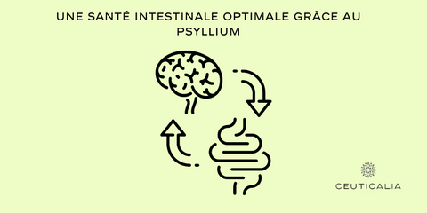 Une santé intestinale optimale grâce au psyllium
