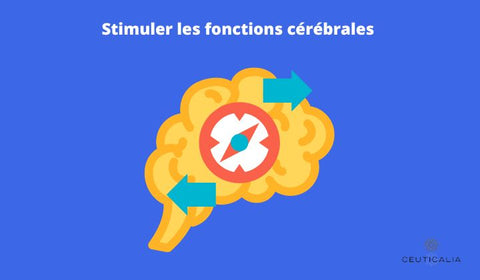 Stimuler les fonctions cérébrales 