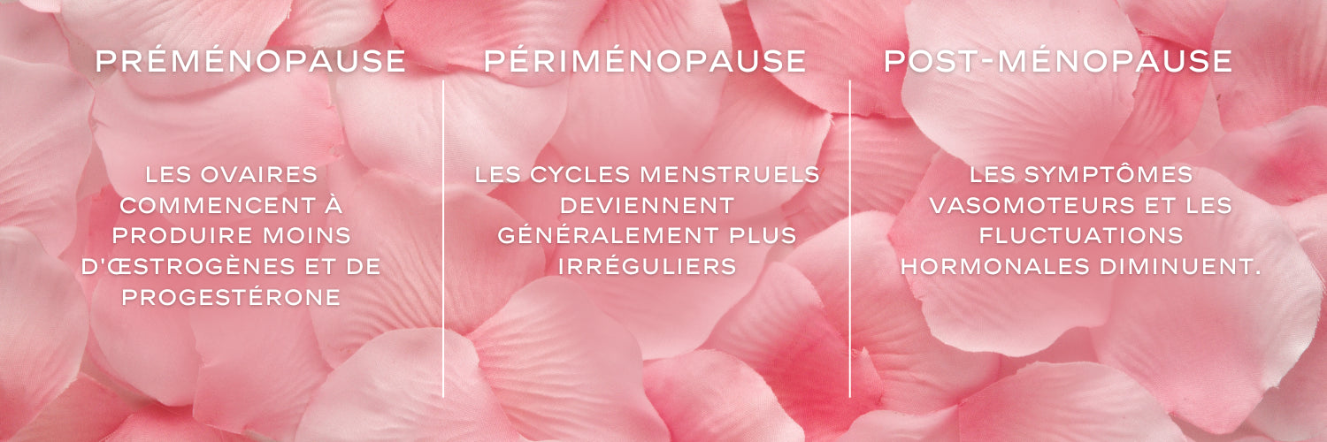 Les trois phases de la ménopause représentent différentes étapes dans le processus de transition hormonale que subissent les femmes à mesure qu'elles avancent vers la ménopause complète. Voici un développement détaillé de chacune de ces phases :