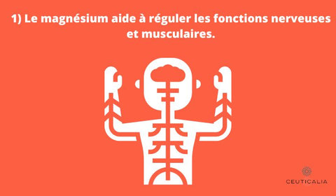 nerveuses et musculaires