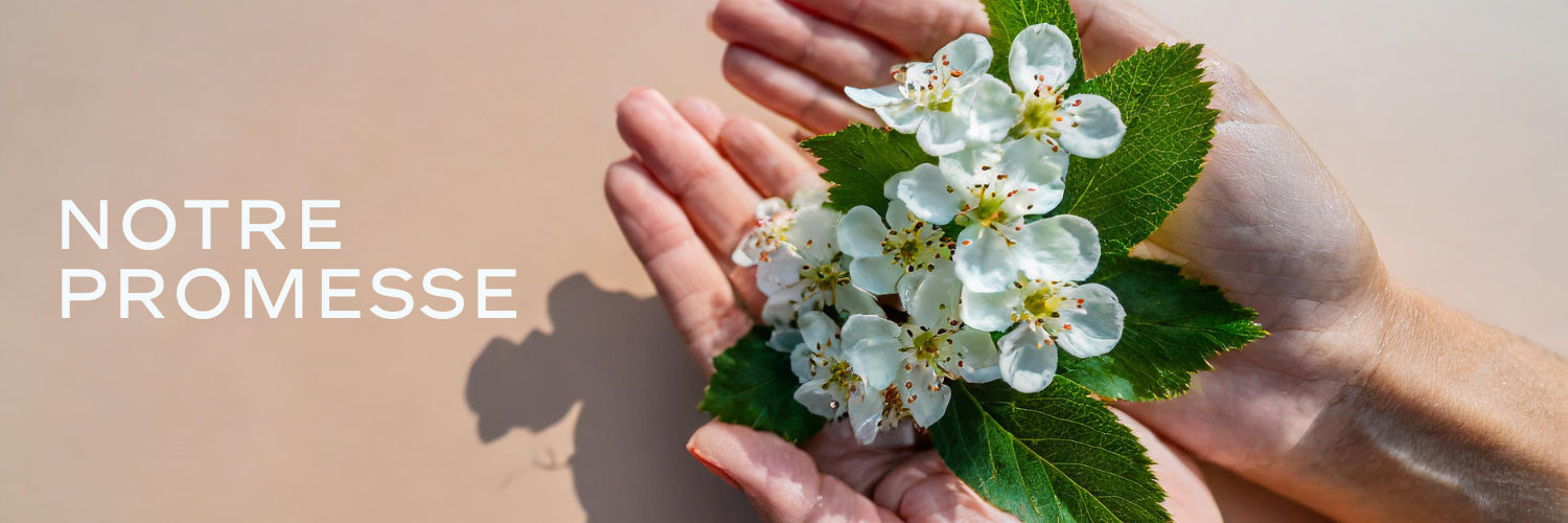 Nous vous promettons des formules concentrées et optimisées en actifs, élaborées par notre pharmacienne experte à l'écoute de vos besoins. Chez Ceuticalia, nous sommes là pour éveiller votre bien-être. Notre engagement envers nos client(e)s est total, et nous nous efforçons chaque jour de vous offrir des produits et des conseils de qualité, pour que vous puissiez vous sentir mieux dans votre corps et dans votre esprit. Chez Ceuticalia, nous créons un lien unique avec vous, basé sur la confiance et la quête commune d'harmonie. Nous sommes là pour vous guider, vous soutenir et vous inspirer à vous sentir bien dans votre peau, chaque jour.