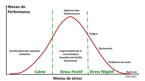 schéma explicatif des trois phases du stress
