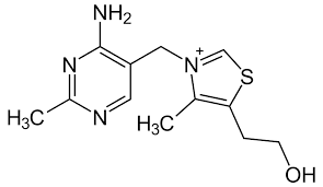 structure de la vitamine B1 et présentation des différents actifs qui la composent