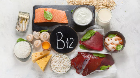 présentation générale de la vitamine B12 et de ses propriètés