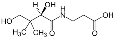 présentation générale de la vitamine B5