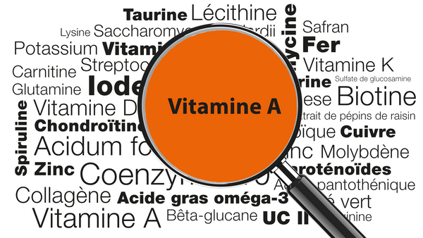 anecdote et info utile sur la vitamine A ( rétinol ) 