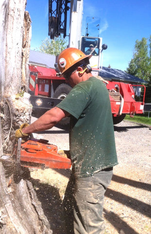 30 seconds out tree cutting