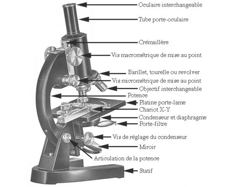 microscope miroir