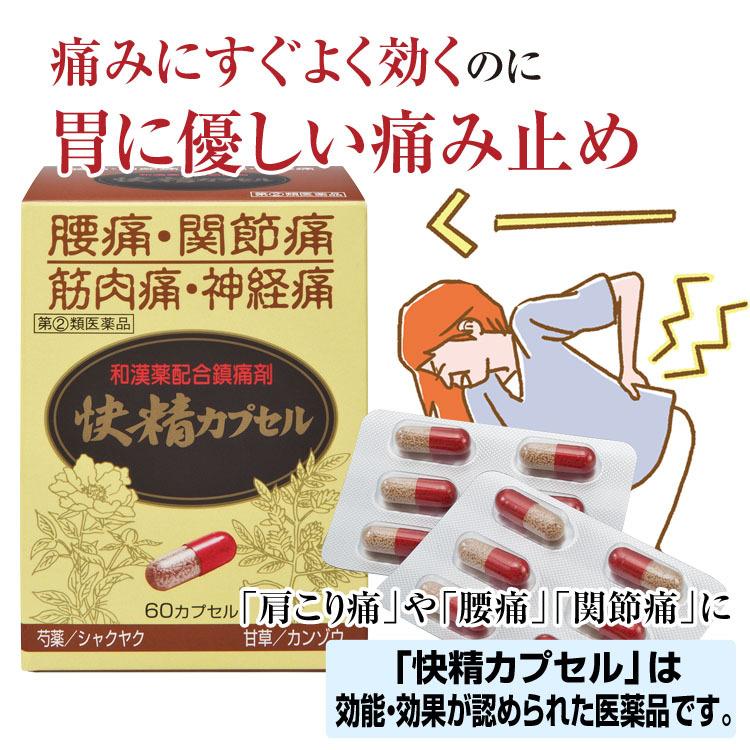 腰痛 関節痛 筋肉痛 飲んで効く「ノーエチW顆粒」 1箱 【第(２)類