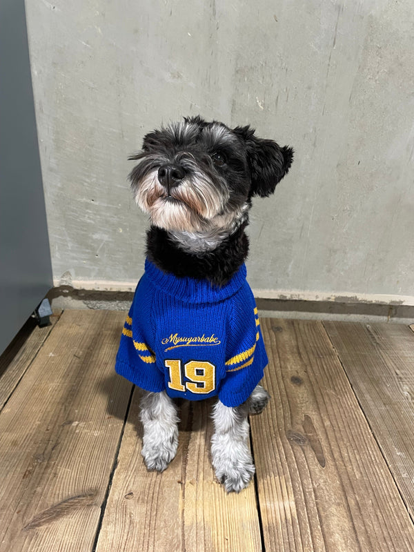 St. Louis Blues Pet Jersey