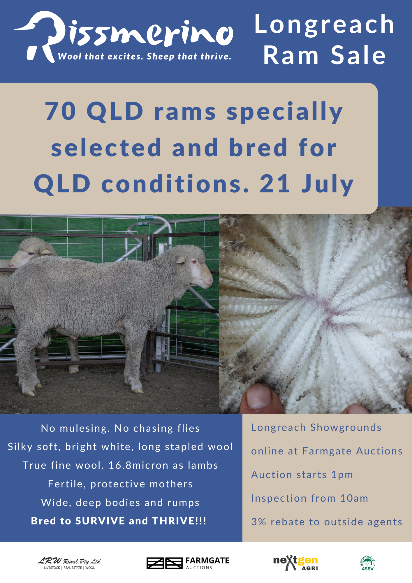 2023 Longreach Ram Sale Information