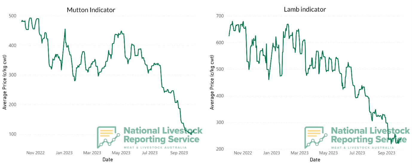 Graph showing drop in lamb and mutton prices this year