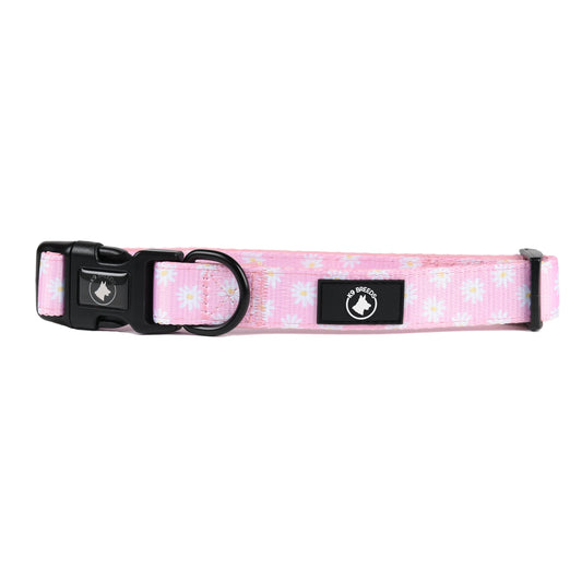 UNIVERSITY OF GEORGIA PINK DOG LEASH